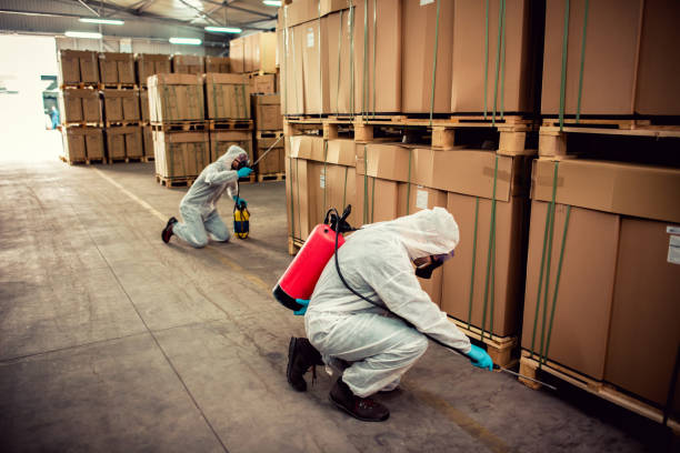Best Mosquito Control Services  in Bonsall, CA