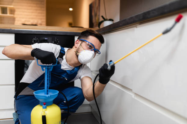 Best Pest Control Near Me in Bonsall, CA