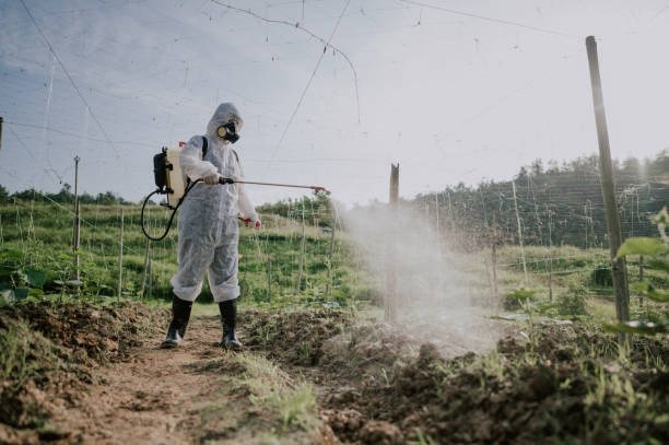 Professional Pest Control in Bonsall, CA