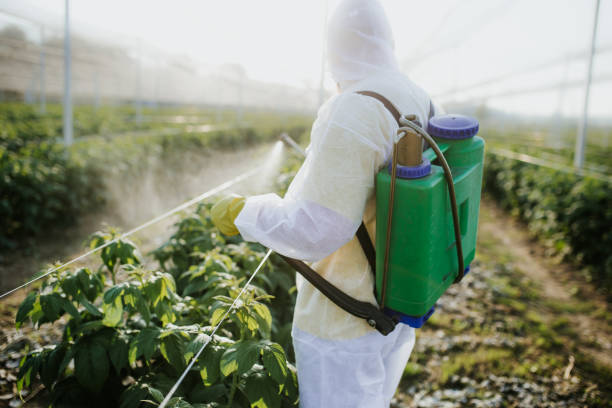 Best Mosquito Control Services  in Bonsall, CA